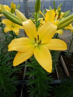 [5047 Cevennes No01.JPG]